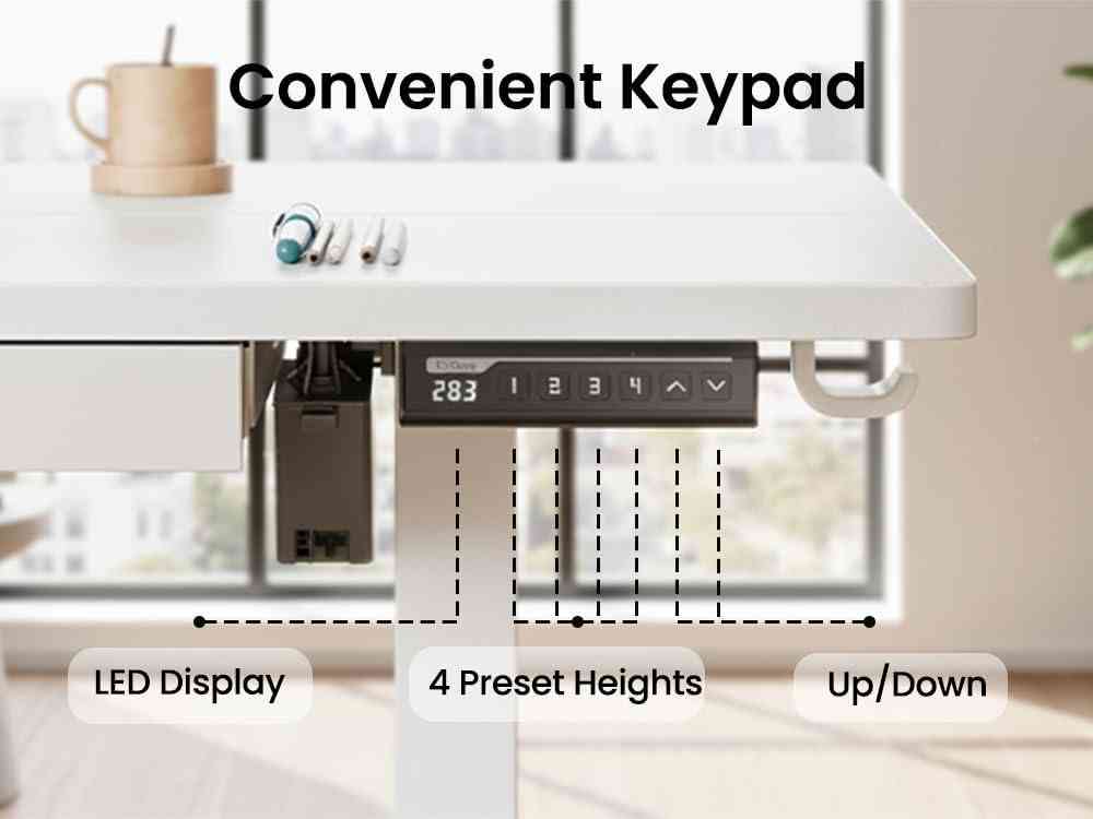 48 X 24 Inch Electric Standing Desk Adjustable Height with Drawers, 4 Memory Height Settings, Sit Stand up Desk for Home Office & Computer Workstation, White