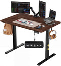 Electric Standing Desk 48" X 24", Height Adjustable 28"-46", Sit Stand Desk with Memory Presets, Smooth & Quiet Motor, Reinforced Frame, Easy Assembly, Ergonomic Home Office Desk